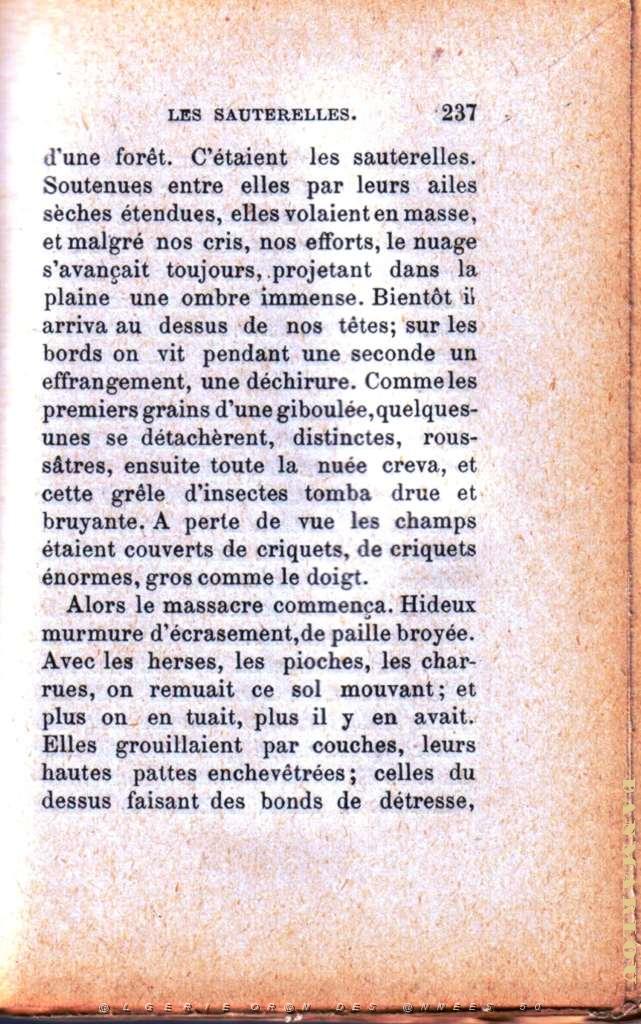 les sauterelles 07.jpg - LEAD Technologies Inc. V1.01